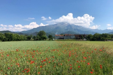 Fietsvakantie Piemonte Noord Italië bloemveld