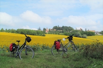 Fietsvakantie Piemonte - fietsen van Cantarana naar Barbaresco