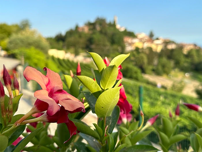 Wandelvakantie Piemonte Colline Torinese - wandelen in italie