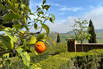 Fietsvakantie Piemonte - luxe