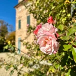 Fietsvakantie standplaats Piemonte luxe