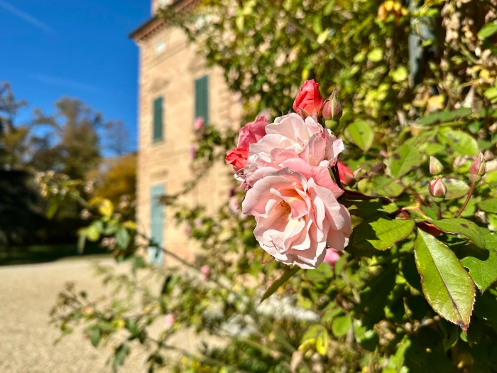 Fietsvakantie standplaats Piemonte luxe