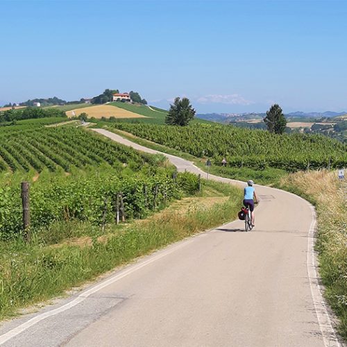 Piemonte-Roero, Langhe, Monferrato